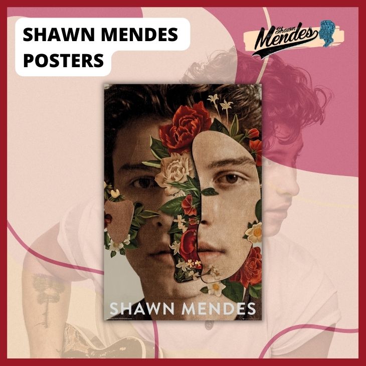 Shawn Mendes POSTERS - Shawn Mendes Shop