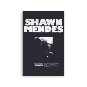 WONDER THE EXPERIENCE LITHO SM1908 Default Title Official Shawn Mendes Merch